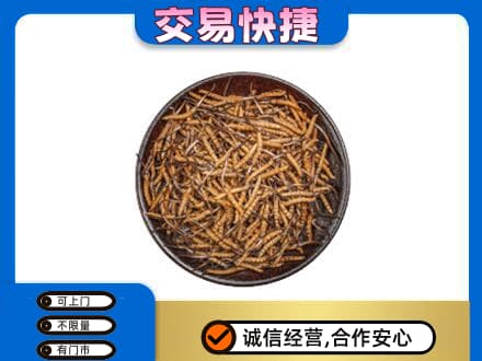 三水区回收散虫草
